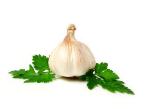 garlic-1319037-1600x1200